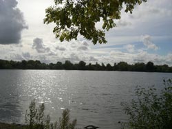 Lake 32 Circencester